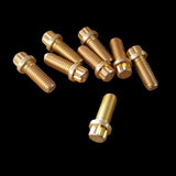 Drum Mounting Bolt, Grade 8 Flange